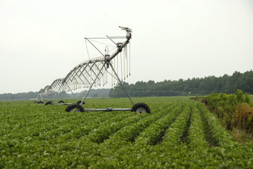 Irrigation system in soybean field