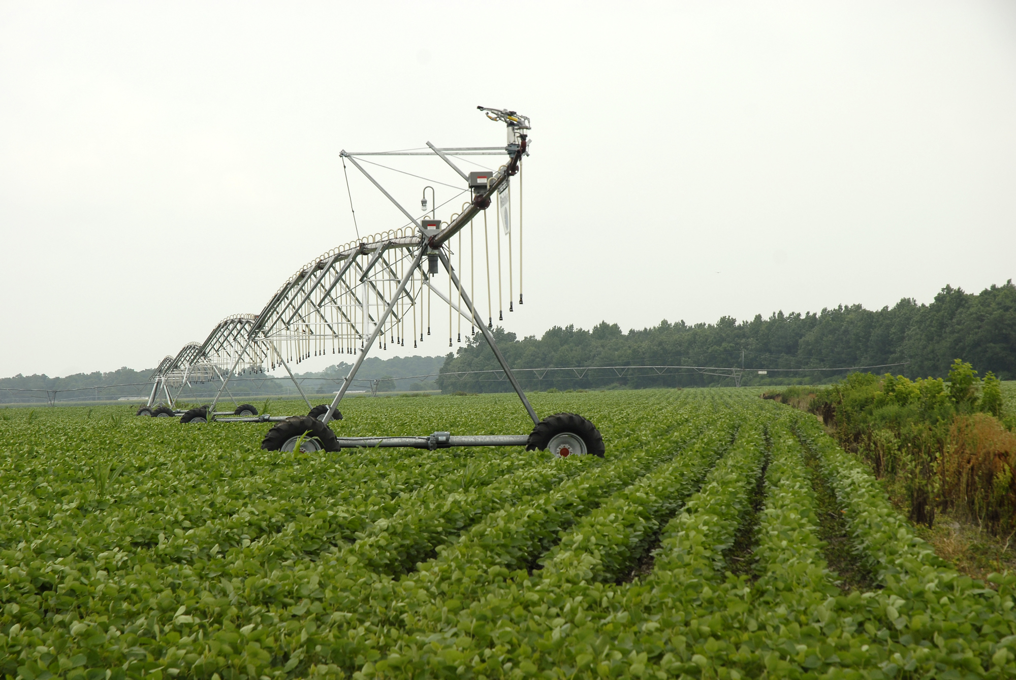 agriculture-value-addition-the-changing-face-of-agriculture-in-kenya