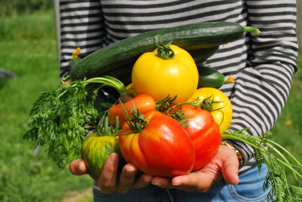 Person holding vegetables