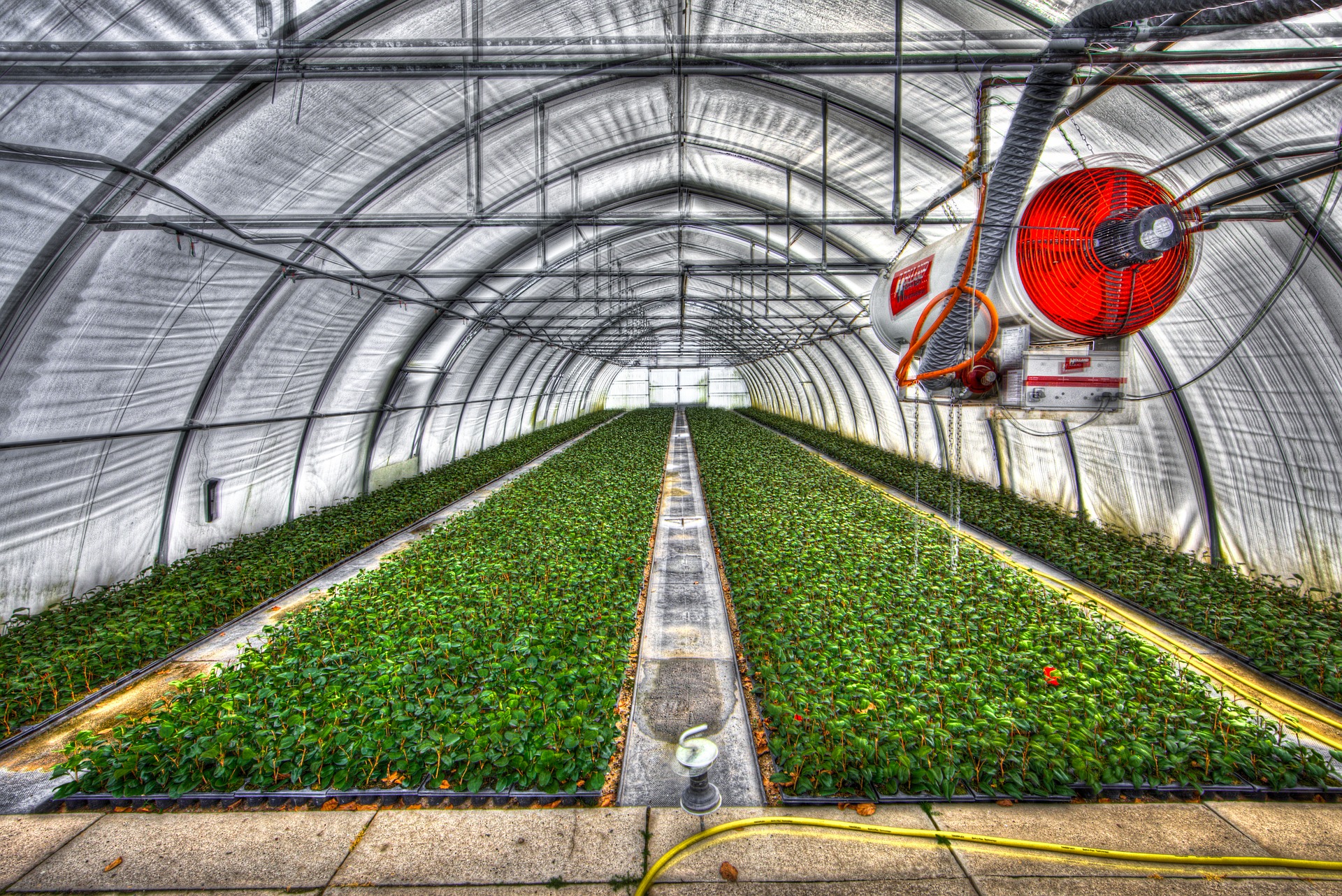 business plan for horticulture