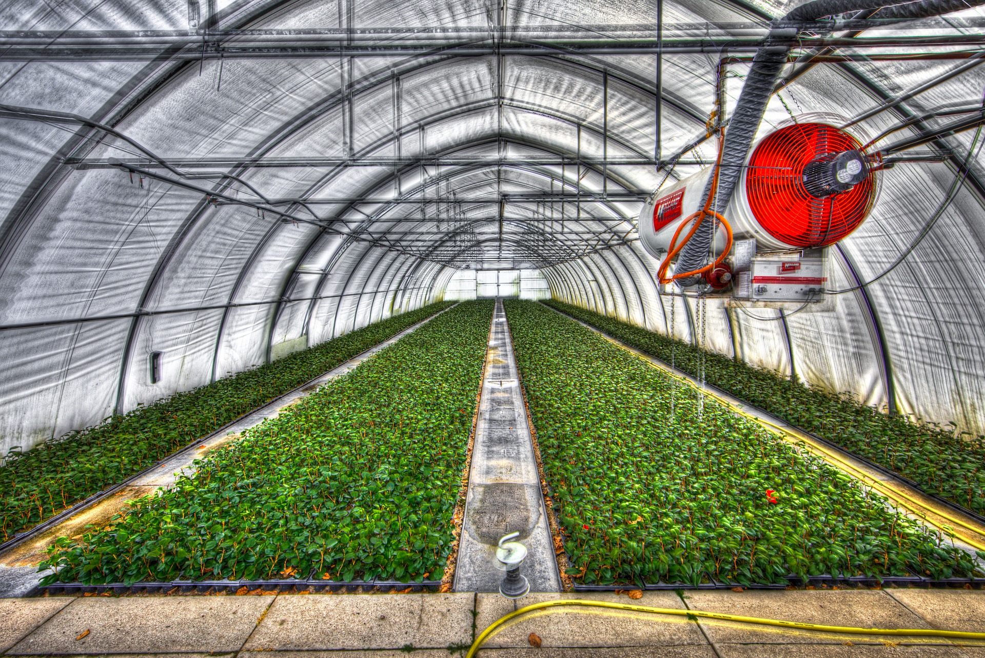 Why Is Commercial Gardening Also Called Truck Farming