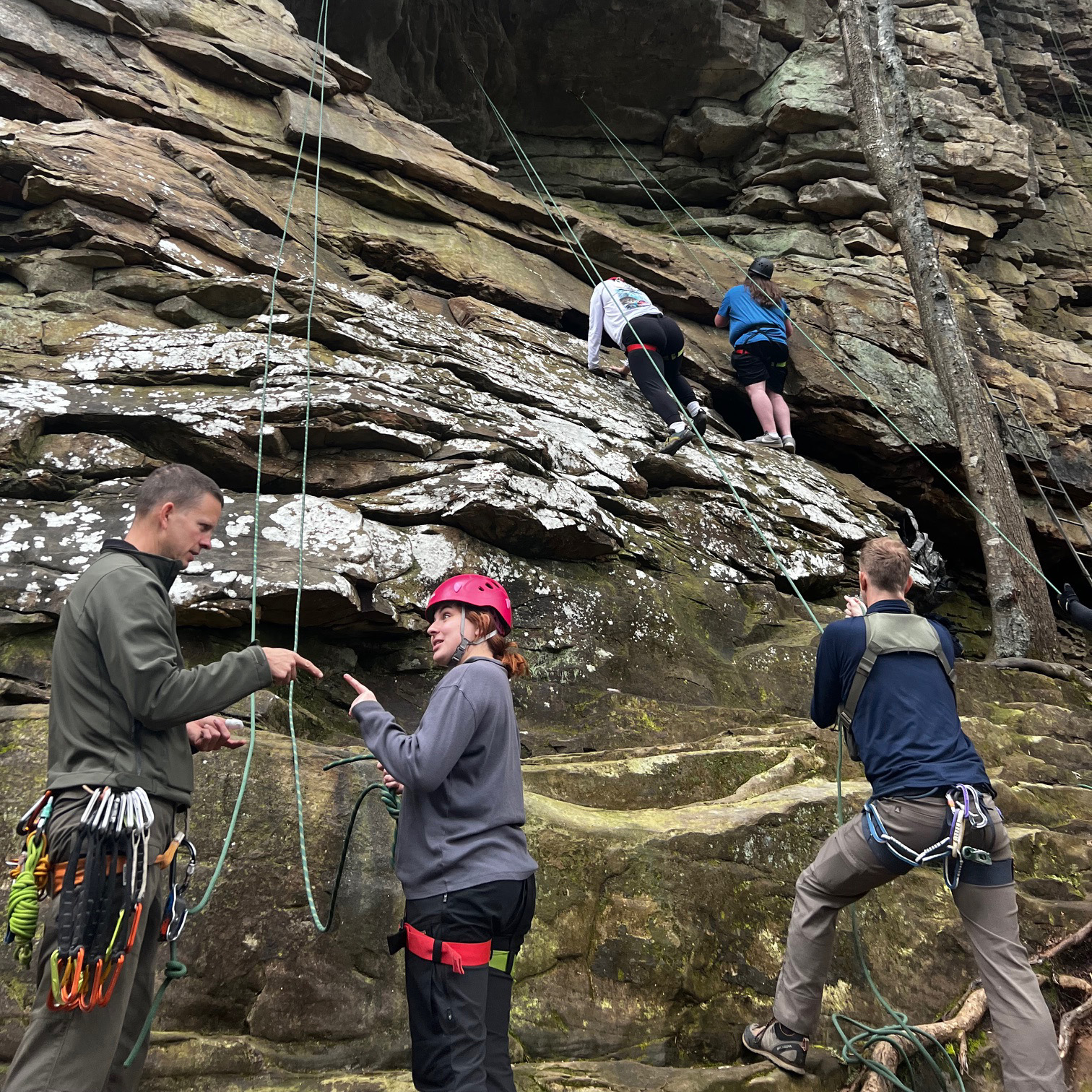 People rock climbing 